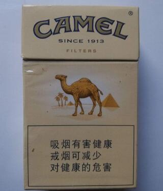 国外烟管吸尘器