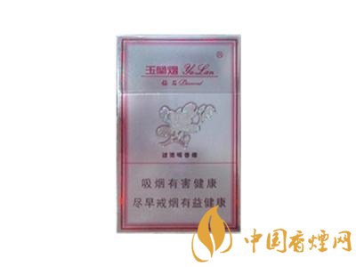 宝宝户外烟花秀视频